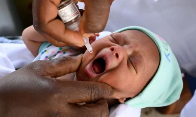 Immunization