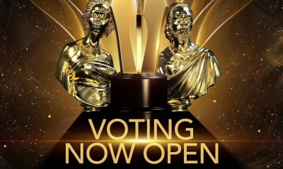 AMVCA 12
