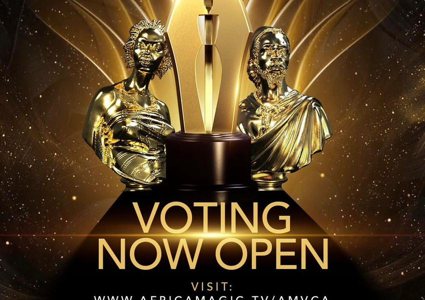 AMVCA 12
